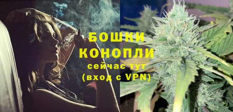 Бошки марихуана SATIVA & INDICA  Ярославль 